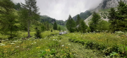 O436-20230729-151948