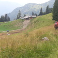 O436-20230729-154351