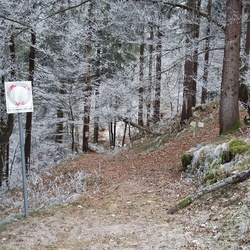 sentiero