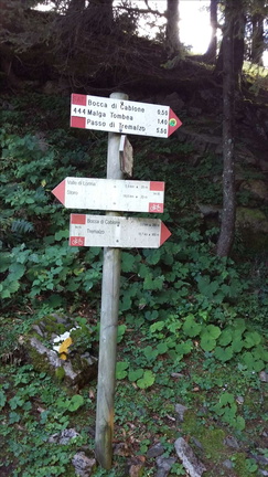 O444-ldp008-00-d1-160919-DZ (8 visite) O444-ldp008-00-d1-160919-DZ