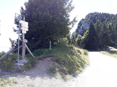 O444-ldp016-00-p1-170813-DZ