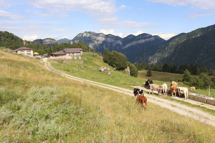 O444-bivacco-Malga-Alpo-01-160919-DZ