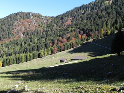 O448-101021-0710-Malga-Ringia