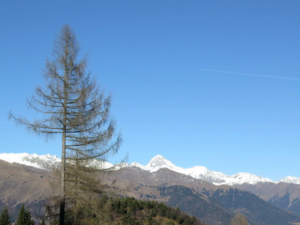 O449A-161202-LB-2042