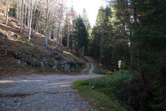 O450-ldp004-00-p1-171027-td