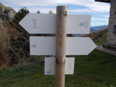 O450-ldp005-00-d6-171019-RF-0595