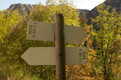 O451-ldp003-00-d2-171006-td-6432-29