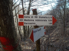 O451-ldp005-00-d02-161228-TR