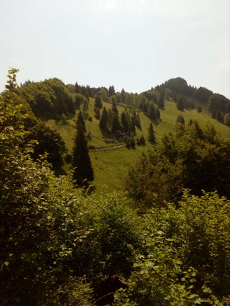 O451-07-Cima-Valdes-170602-TR