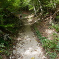 O451-170928-CC-0793
