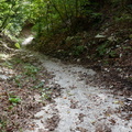 O451-170928-CC-0794