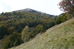 O451-170928-CC-0809