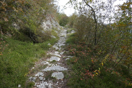 O451-170928-CC-0811