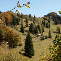 O451-171006-td-6391-2