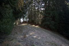 O452-ldp003-05-p1