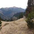 O452-161201-RF-P1020210