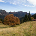 O452-171007-td-6892-3