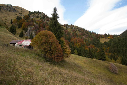 O452-171007-td-6895-4