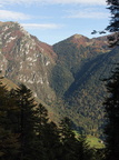O452-171007-td-6900-7