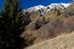 O452-171112-td-2211