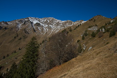O452-171112-td-2234
