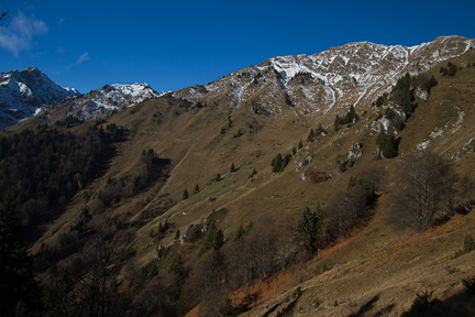 O452-171112-td-2235