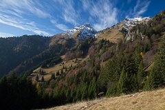 O452-171112-td-2248