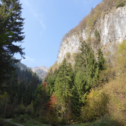 sentiero