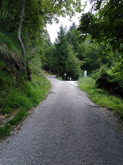 O453-ldp002-01-00-p1-170705-MCF