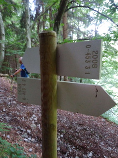 O453-ldp004-00-d04-170705-MCF