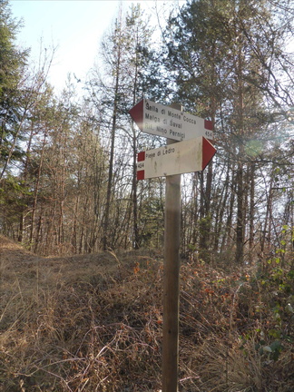 O454-ldp006-00-d2-170108-RF-P1020413 (2 visite) O454-ldp006-00-d2-170108-RF-P1020413