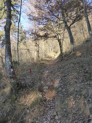 O454-ldp008-00-d1-170108-RF-P1020421 (3 visite) O454-ldp008-00-d1-170108-RF-P1020421