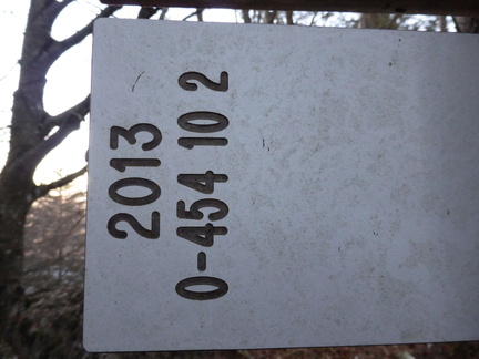 O454-ldp010-00-d2-170108-RF-P1020430