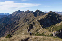 O455-171007-td-6791-16