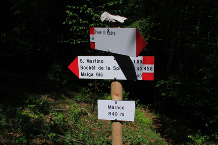 O456-ldp003-00-d02-130512-td-0729