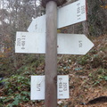 O456-ldp003-00-d03-161113-ED