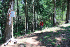 O456-ldp003-01-p01-130512-td-0735