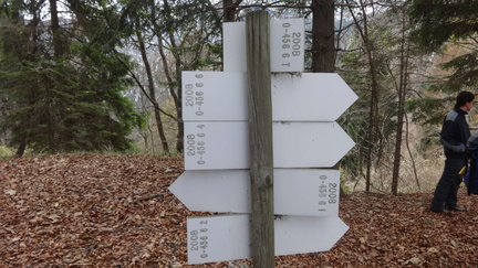 O456-ldp006-00-d02-161113-ED