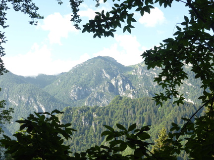 O456-170618-RF1020942