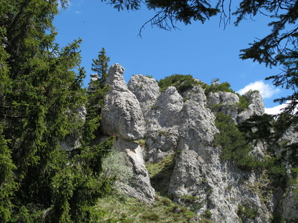 O456B-110523-LB-1267