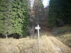 O457-ldp002-01-p1-171029-RF-0389