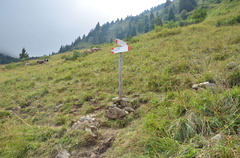 O457-ldp003-02-p01-200821-ED