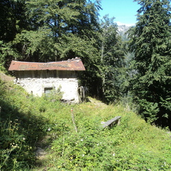 sentiero