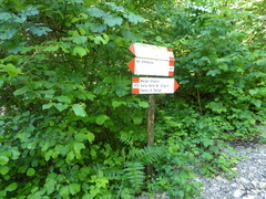 O458-ldp002-00-p1-170607-RF