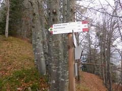 O458-ldp006-00-p02-RF