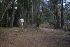 O458-ldp007-00-p01-171027-td