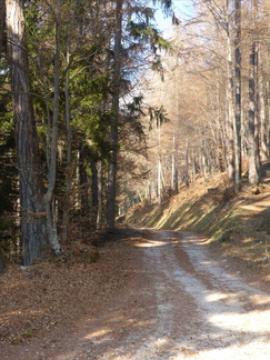 O459-170112-RF-P1020456