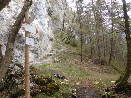 O459B-ldp004-00-p02-150421-RB