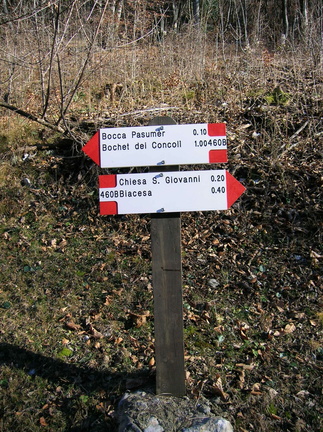 O460B-ldp001-00-d1-061220-LB