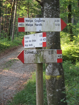 O461-ldp002-00-d1-170528-RZ-1156 (31 visite) O461-ldp002-00-d1-170528-RZ-1156